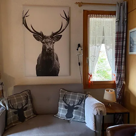 Tolle 2,5 Galeriewohnung Apartamento